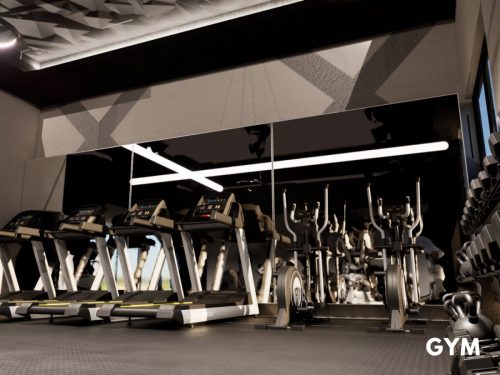 gym3